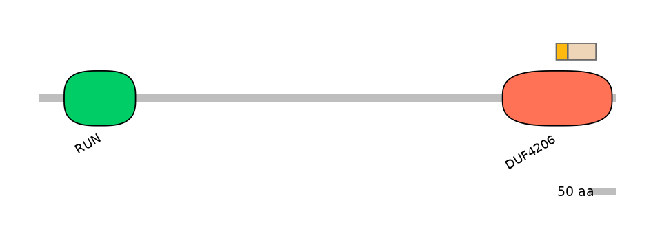 MmuINT0122156-EXC