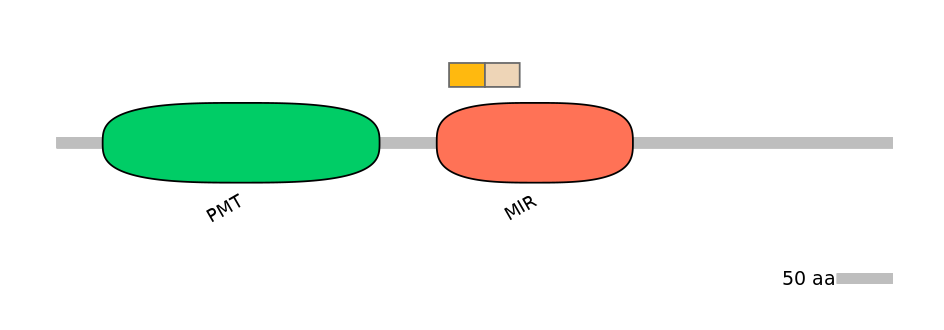 MmuINT0124089-EXC