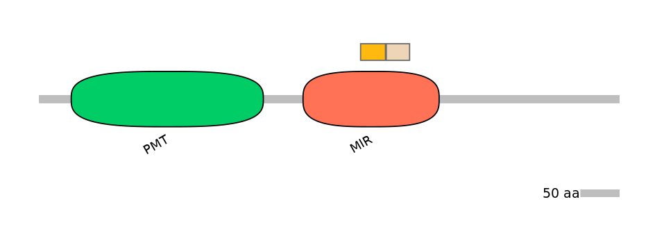 MmuINT0124091-EXC