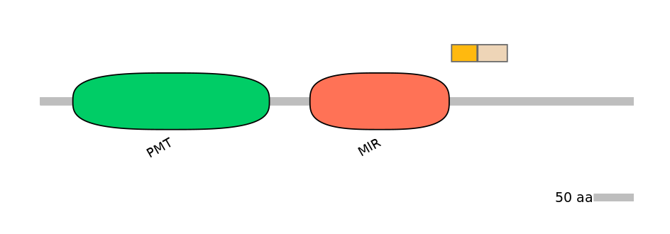 MmuINT0124094-EXC