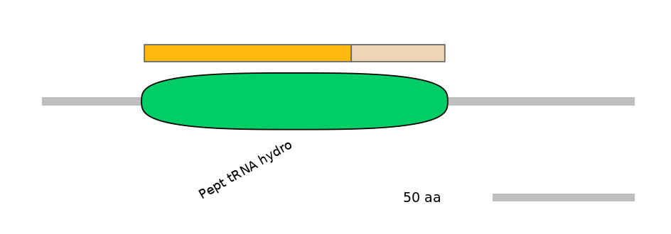 MmuINT0129660-EXC