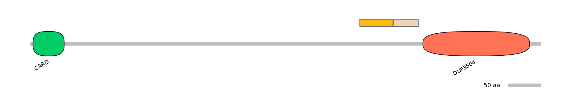 MmuINT0130168-EXC