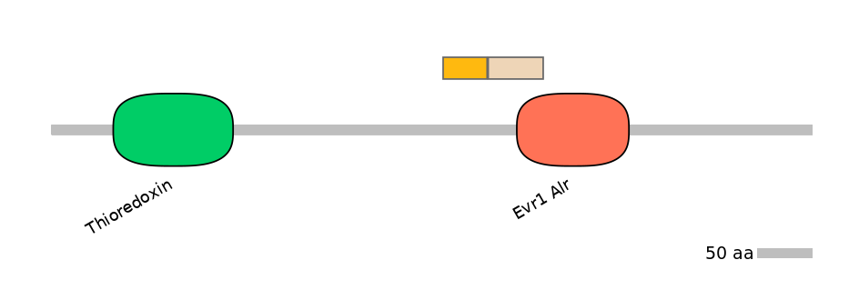 MmuINT0130230-EXC
