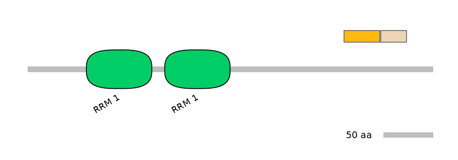 MmuINT0132942-EXC