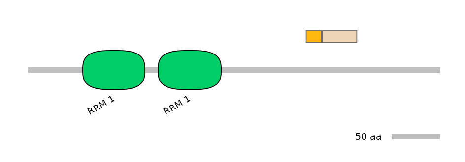 MmuINT0132957-EXC