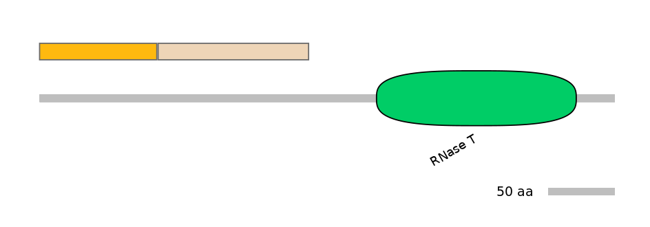 MmuINT0133831-EXC