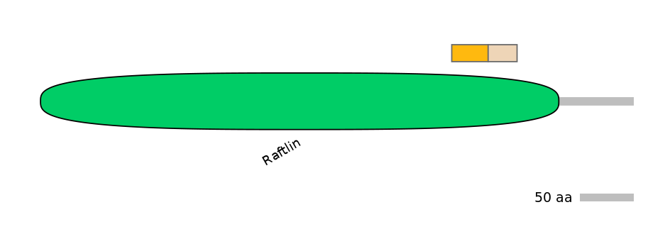 MmuINT0133955-EXC