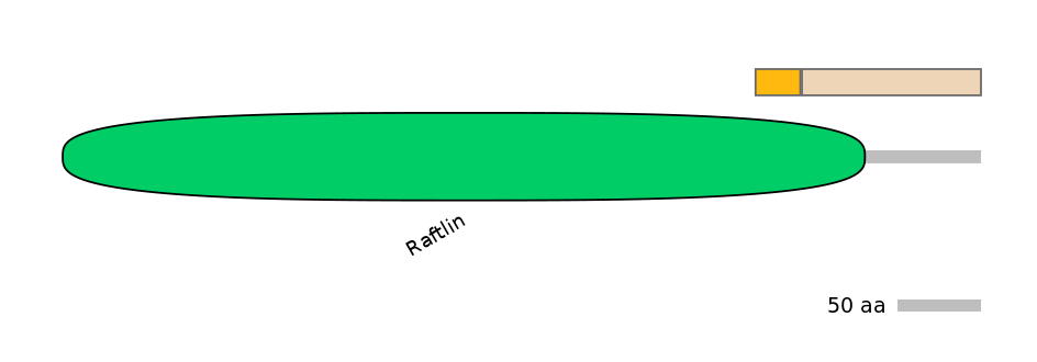 MmuINT0133956-EXC