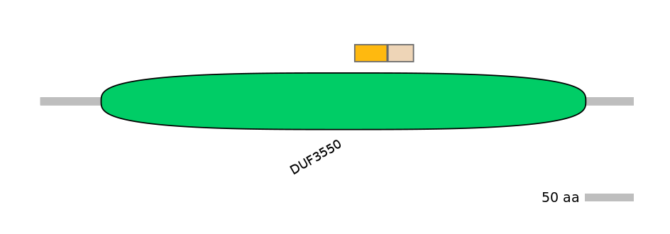 MmuINT0139163-EXC