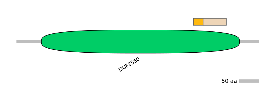 MmuINT0139167-EXC