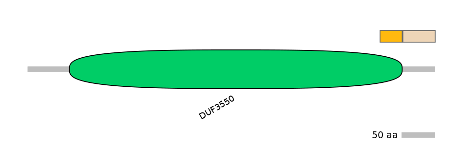 MmuINT0139169-EXC