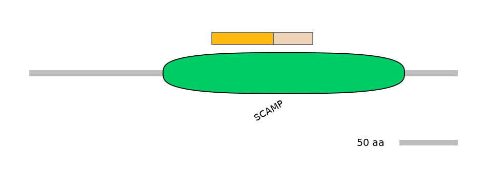 MmuINT0139183-EXC