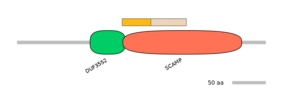 MmuINT0139190-EXC