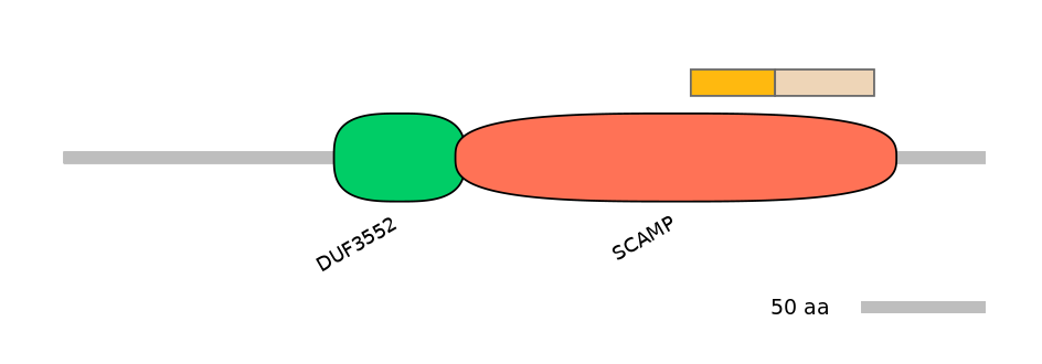 MmuINT0139192-EXC