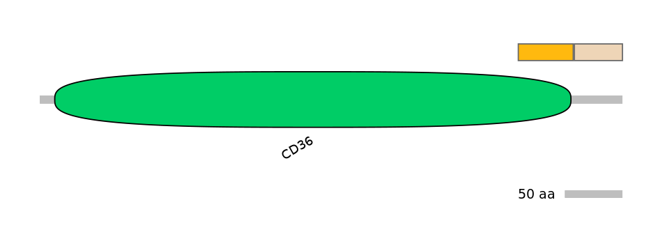 MmuINT0139286-EXC