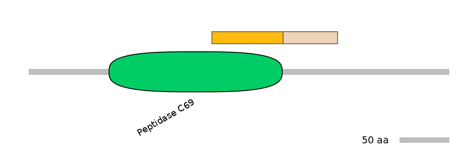 MmuINT0139969-EXC