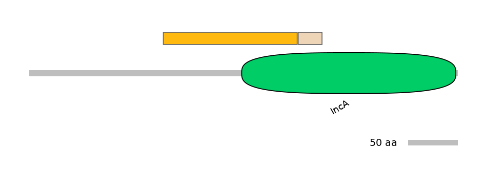 MmuINT0140195-EXC