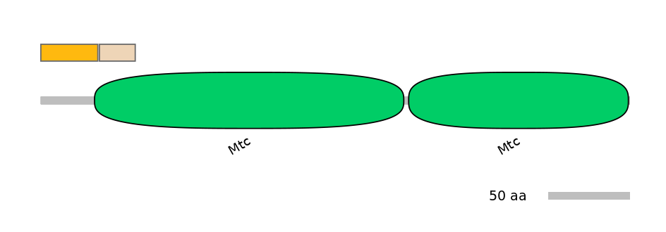 MmuINT0142653-EXC