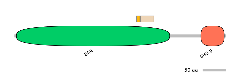 MmuINT0143127-EXC