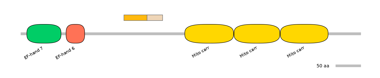 MmuINT0145484-EXC