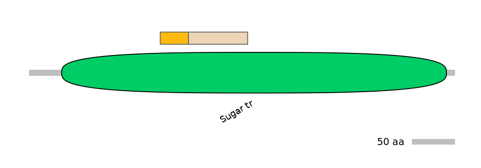 MmuINT0146119-EXC