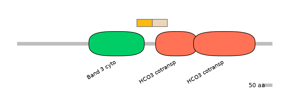 MmuINT0147161-EXC