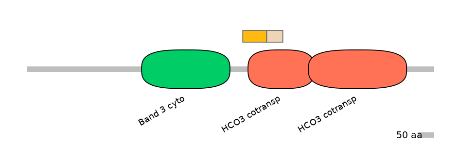 MmuINT0147162-EXC