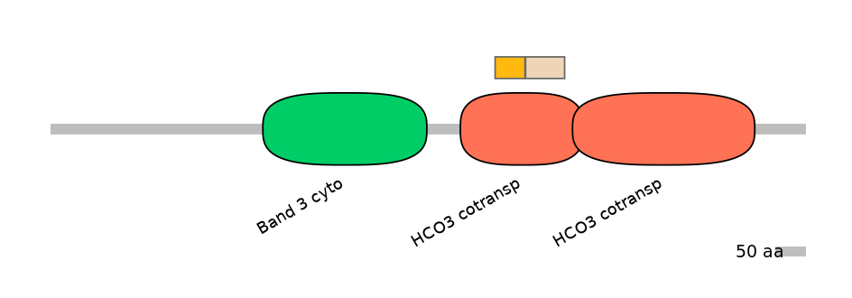 MmuINT0147163-EXC