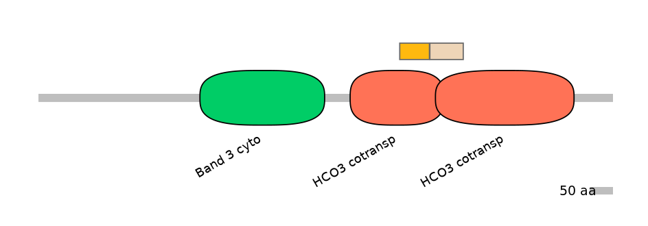 MmuINT0147164-EXC
