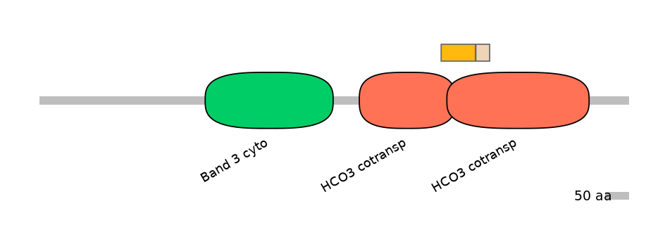 MmuINT0147165-EXC