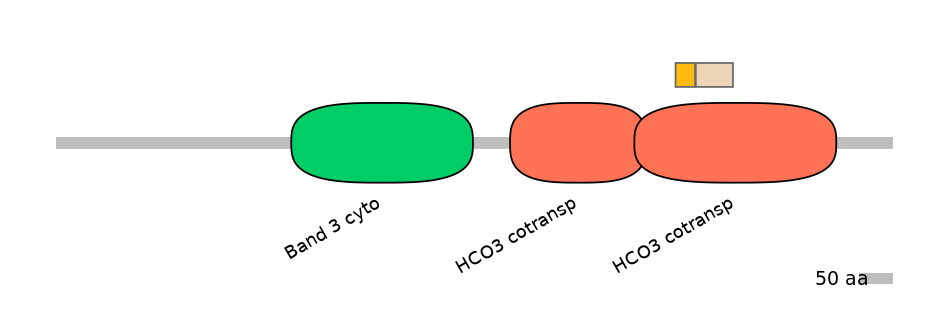 MmuINT0147166-EXC