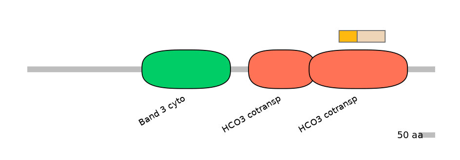 MmuINT0147167-EXC