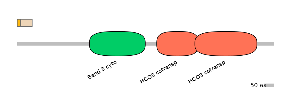 MmuINT0147168-EXC