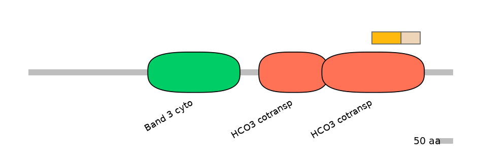 MmuINT0147169-EXC