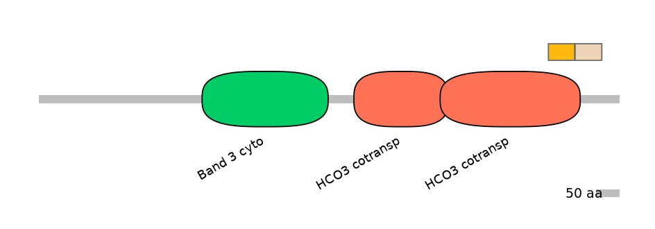 MmuINT0147170-EXC