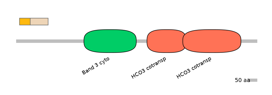 MmuINT0147172-EXC