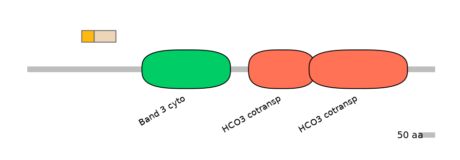 MmuINT0147174-EXC