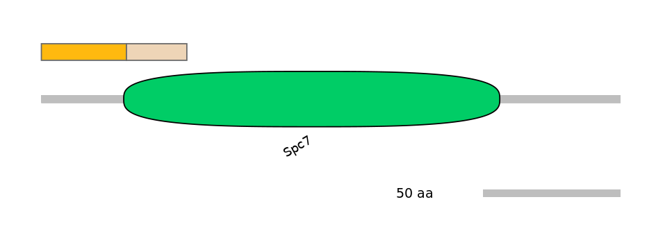 MmuINT0151192-EXC