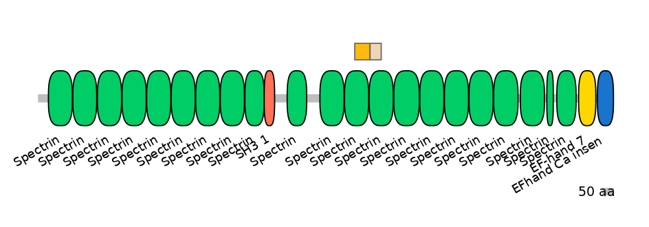 MmuINT0151719-EXC