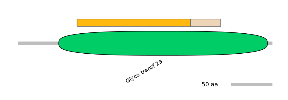 MmuINT0153244-EXC