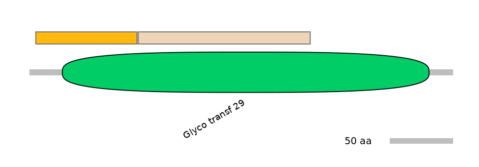 MmuINT0153251-EXC