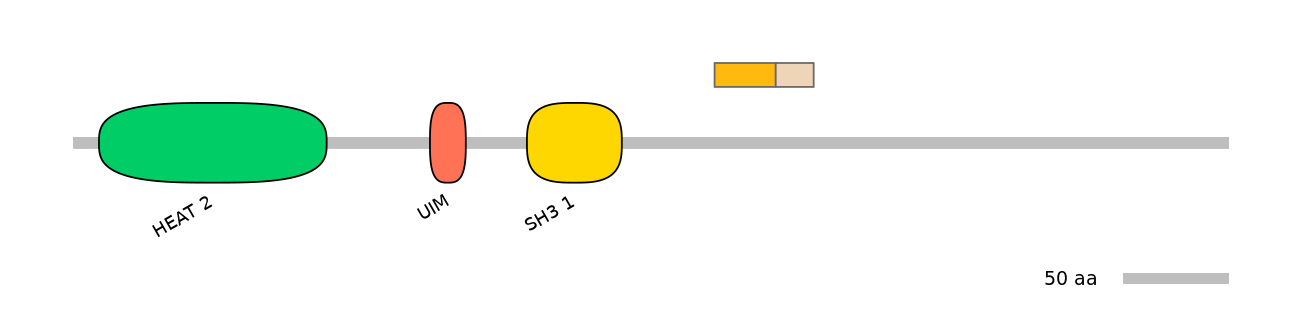 MmuINT0153588-EXC