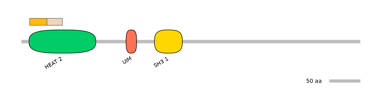 MmuINT0153592-EXC