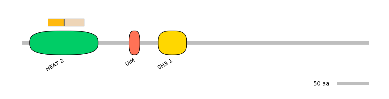 MmuINT0153593-EXC