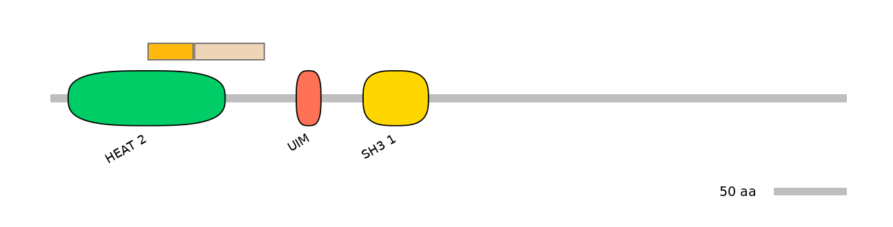 MmuINT0153594-EXC