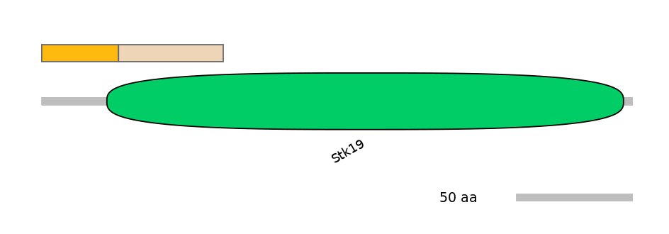 MmuINT0154062-EXC