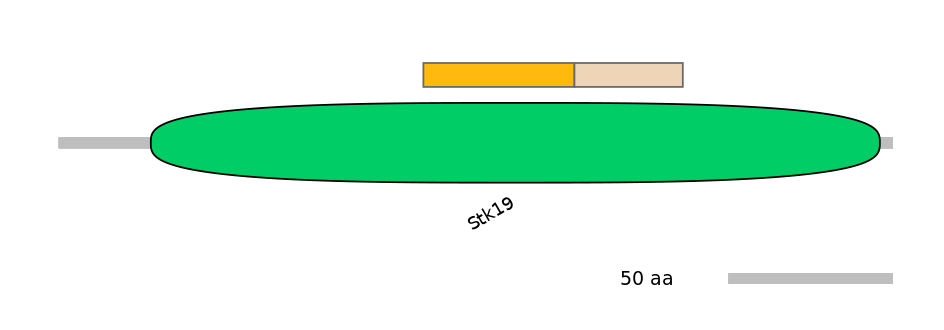 MmuINT0154065-EXC
