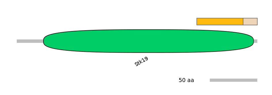 MmuINT0154067-EXC