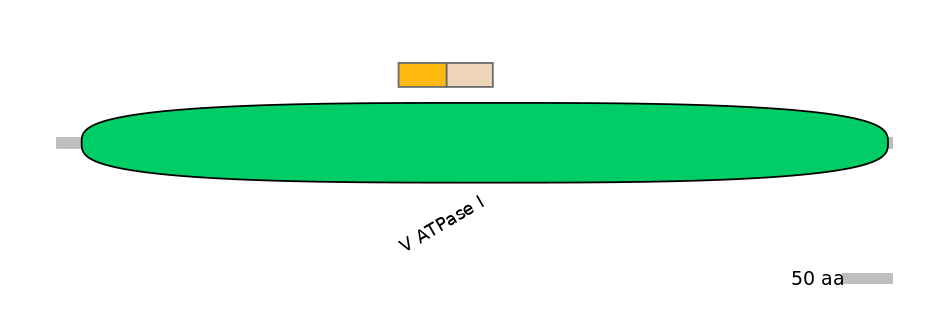 MmuINT0158273-EXC