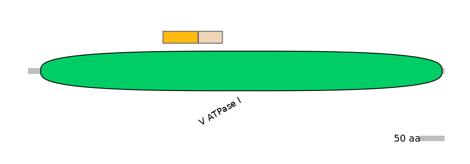 MmuINT0158290-EXC